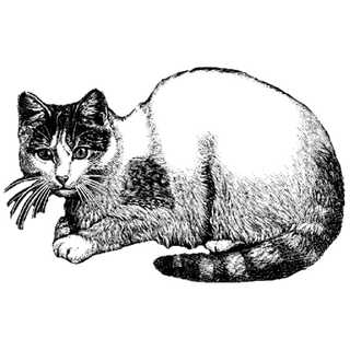 zybiv profile picture